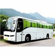 Buses