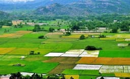 Agricultural Properties