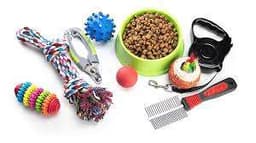 Pet Accessories