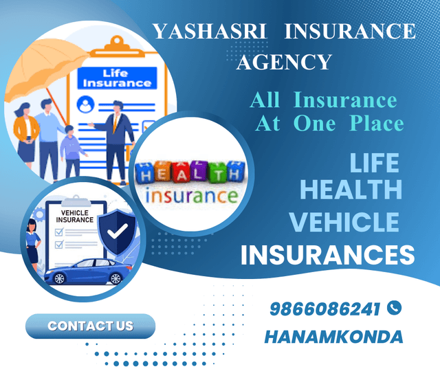 Insurance Agency